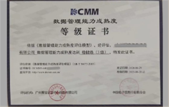 DCMM數據管理能力成熟度評估服務